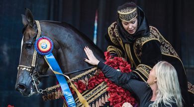 U.S. National Arabian & Half-Arabian Championship Horse Show