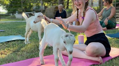 High On A Hill Dairy Goats