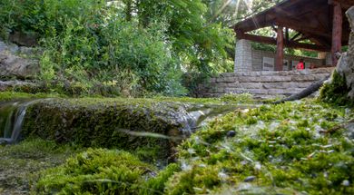 Boiling Springs State Park Gift Shop