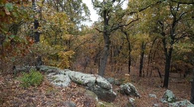 Keystone State Park Gift Shop