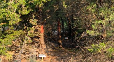 IBC Disc Golf Course