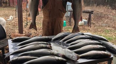 Red Beard Guide Service