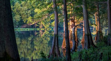 Explore the wooded trails and make your way along the pristine waters of Broken Bow Lake or Mountain Fork River during an adventure to Beavers Bend State Park.