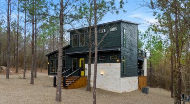 The Bears & the Bees