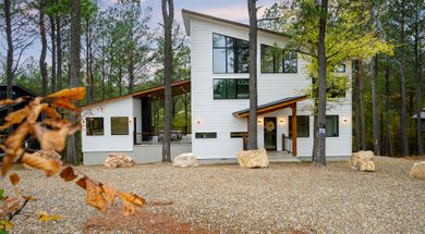 Y'all & the Tall Tree's