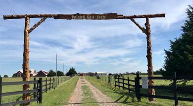 Painted Gait Farm