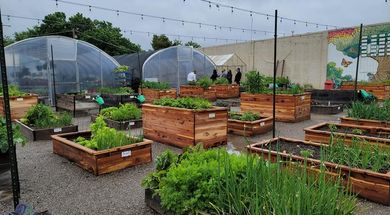 Think Ability Garden Hub & Community Garden