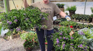 Horse Creek Landscaping