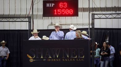 Shawnee Horse Sale