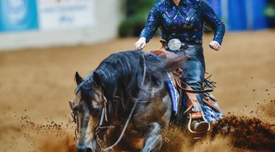 National Reining Breeders Classic