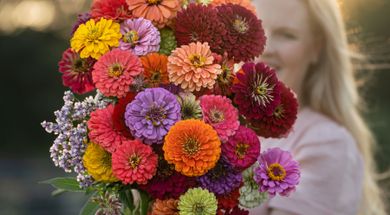 Coram Deo Flower Farm & Gardens