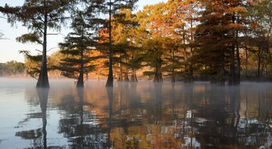 Earth Day Celebration at Sequoyah State Park