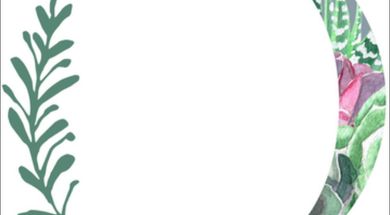 The Olive Branch Boutique