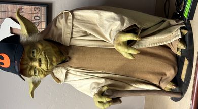 Take a photo with the life-sized Yoda.