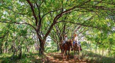 Riders on the Trail