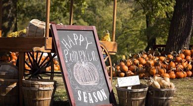 50 Ways to Celebrate Fall in Oklahoma