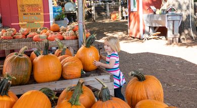 Fall Fun on the Farm