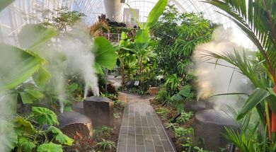 Oklahoma City Oasis: The Myriad Botanical Gardens