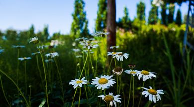 Mental Health Awareness Month in Oklahoma
