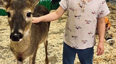 PAWSitively Wild Animal Encounters & Education Center