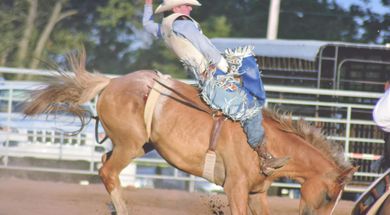 Grove Pro Rodeo