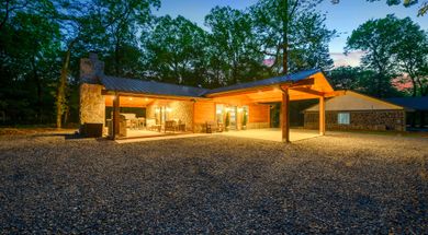 Muskoka Little Blue Penguin