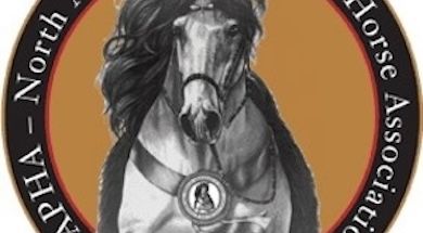 North American Peruvian Horse Assoication National Show