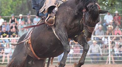 Chandler Open Rodeo