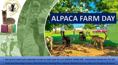 Spring Alpaca Farm Day