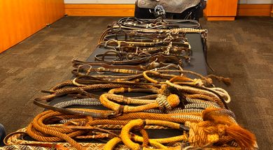 Traditional Cowboy Arts Exhibition & Sale Weekend