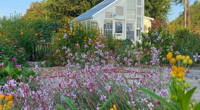 Main Street Community Garden