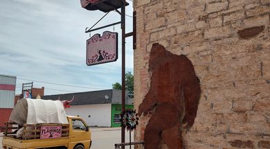 The Buckin' Flamingo