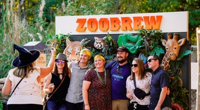 ZOObrew