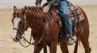 National Reined Cow Horse Association Hackamore Classic