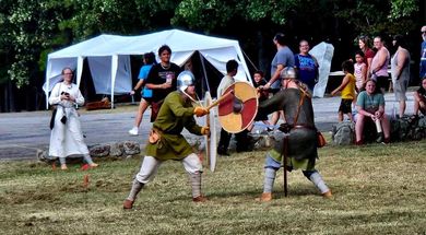 Viking Festival