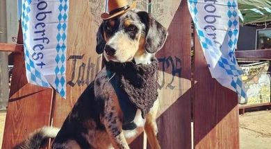 Kroner & Baer's Oktoberfest