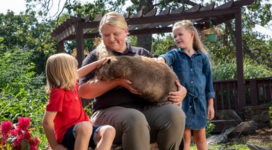 Support Oklahoma State Park Animal Ambassadors