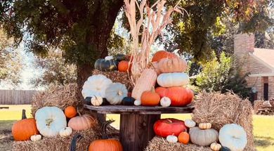 The Barn at Country Club Pumpkin Patch