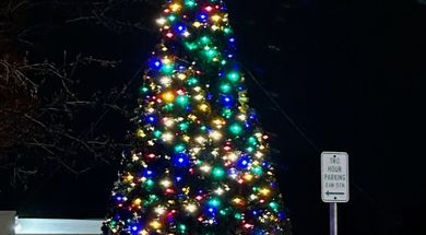 Chandler Christmas Parade & Tree Lighting Festival