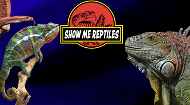Show Me Reptiles & Exotics Expo