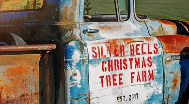 Silver Bells Christmas Tree Farm