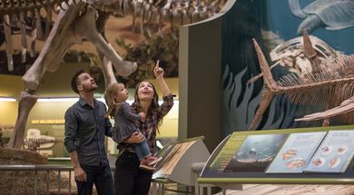 Bring the whole family and travel back through time together.