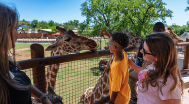 Breakfast with the Animals