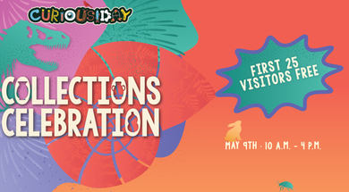 Curiousiday: Collections Celebration