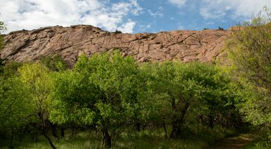 National Arbor Day Tree Walk at Quartz Mountain State Park