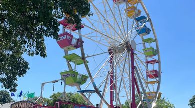 Rooster Days Festival