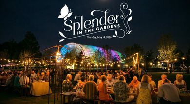 Splendor in the Gardens