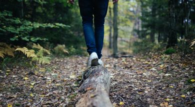 Arcadia Lake BioBlitz