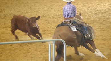 The Non-Pro & Open Cutting Horse Event