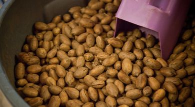 Oklahoma Pecan Festival
